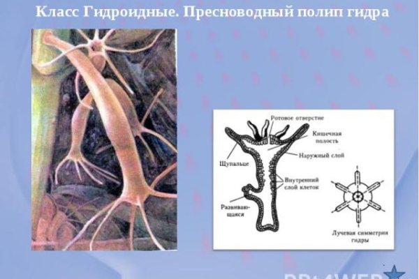 Клирнет ссылка на зеркало маркетплейс кракен