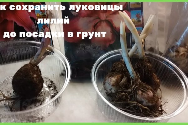 Кракен сегодня сайт зеркало