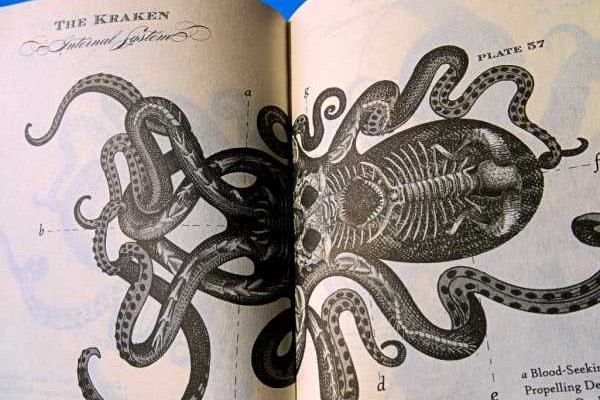 Кракен даркнет тг