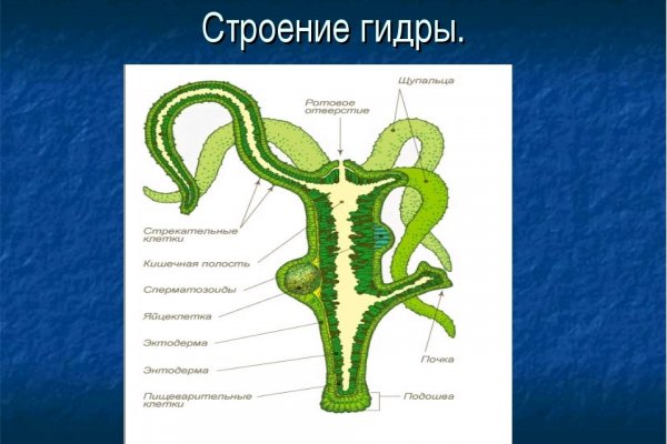 Кракен сайт работает